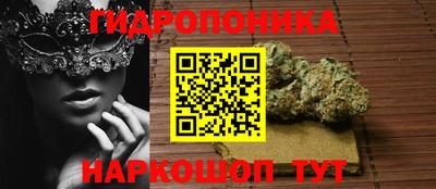 МДМА Гатчина