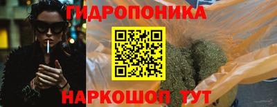 гидра Гагарин