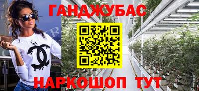 гидра Гагарин