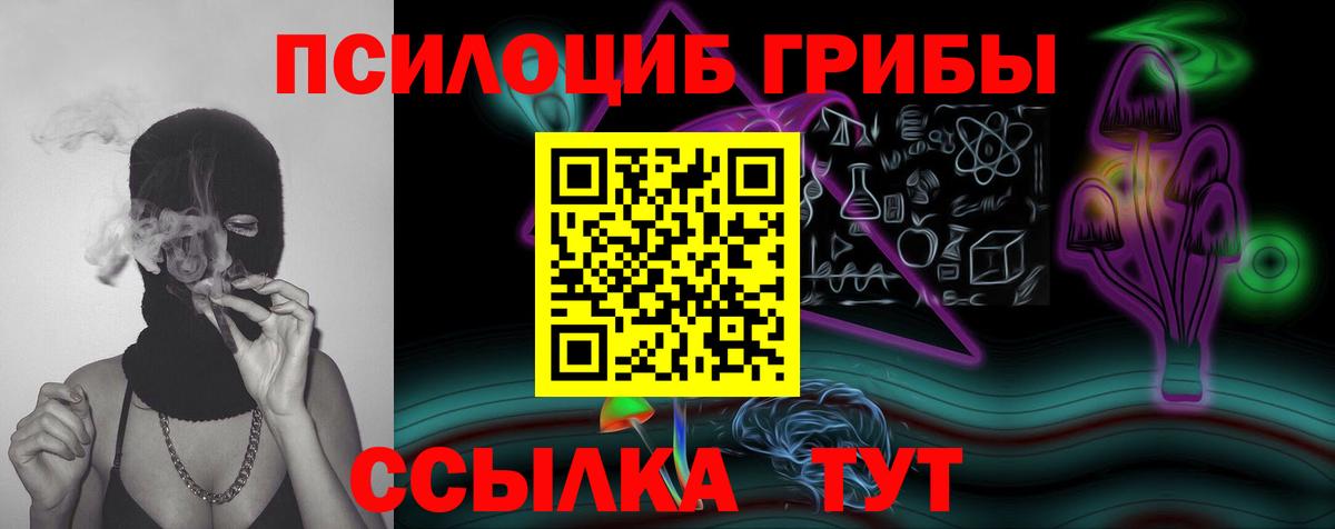 купить  сайты  Псилоцибиновые грибы Psilocybine cubensis  Вход с VPN  Псилоцибиновые грибы ЛСД  Губкин 